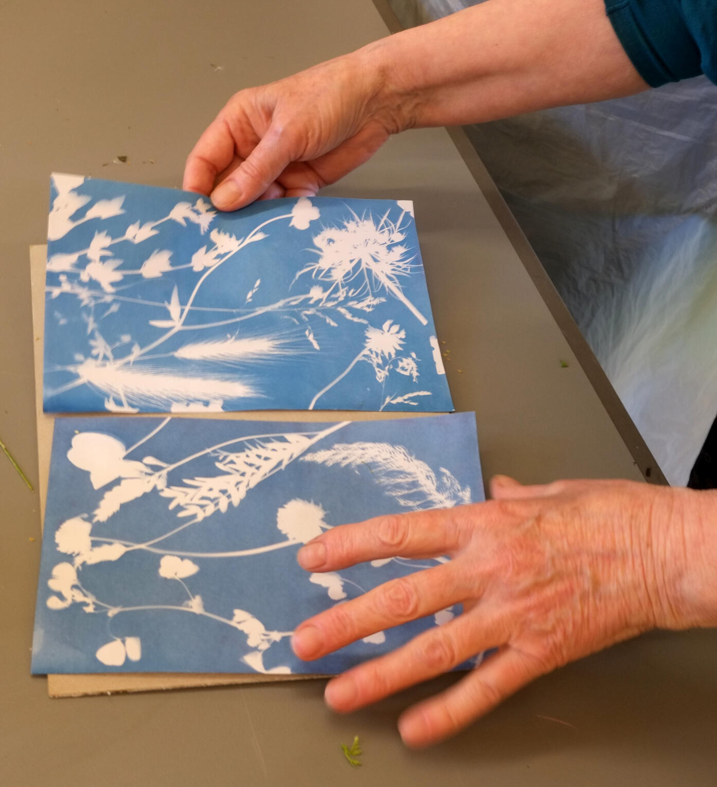 Cyanotype workshop with Create in partnership with Age UK, 2024